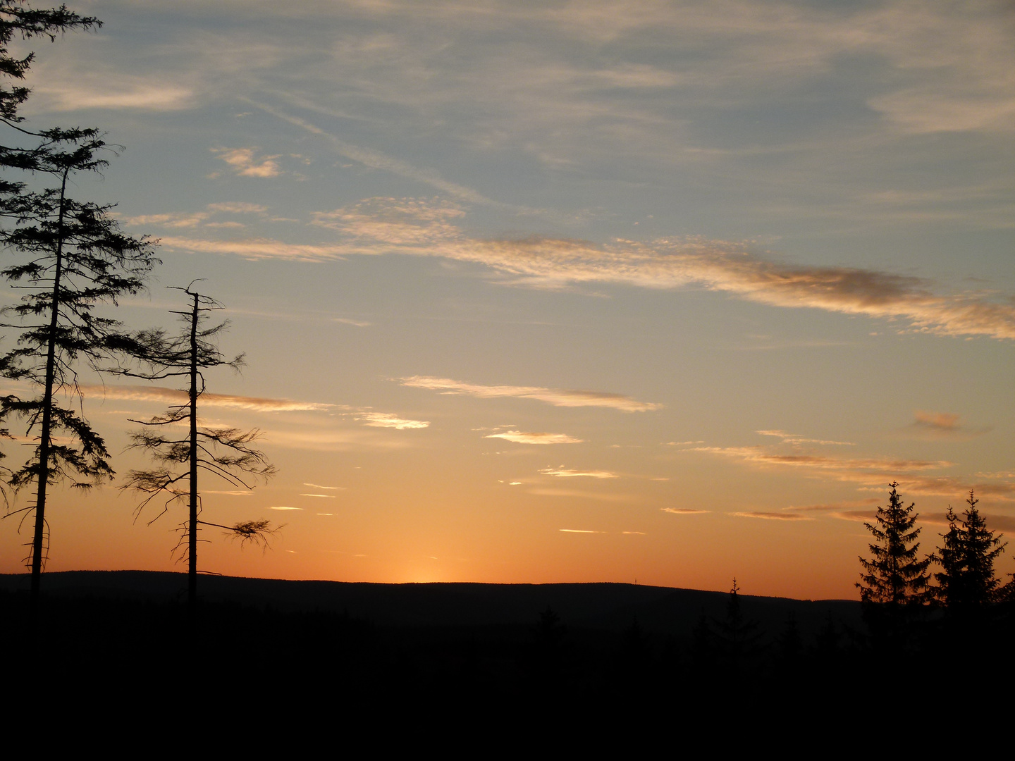 es wird Nacht