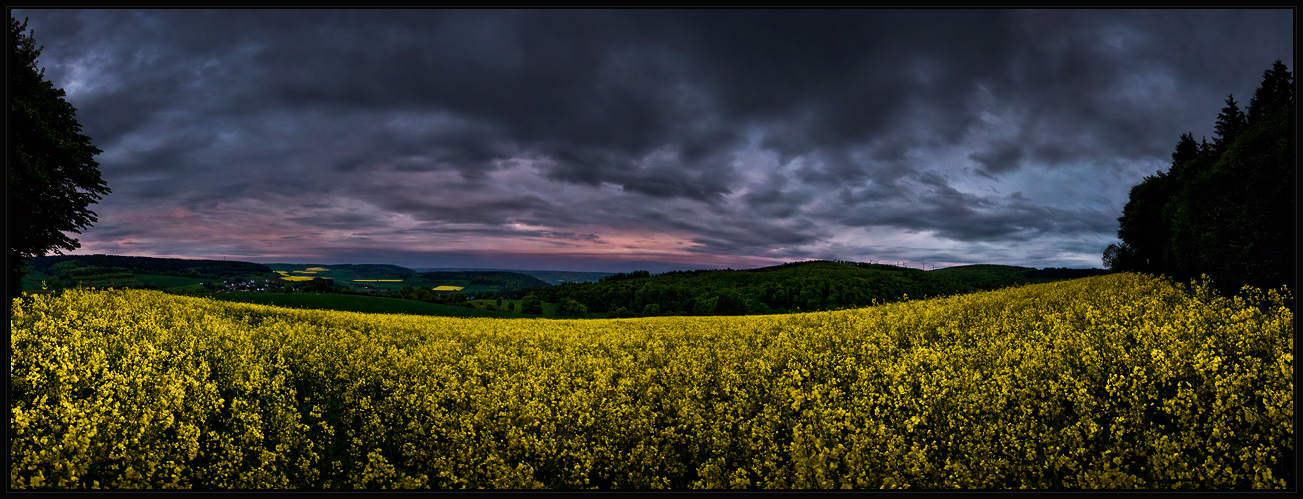 es wird Nacht im Rapsfeld