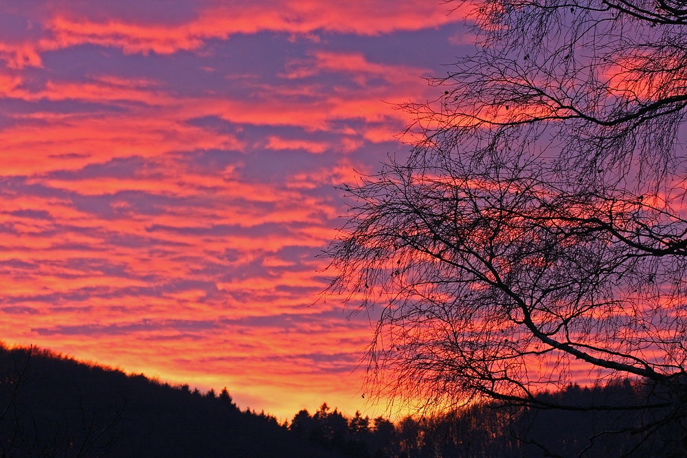 Es wird Nacht in Albstadt