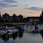 Es wird Nacht in Dresden