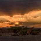 Es wird Nacht über Samburu