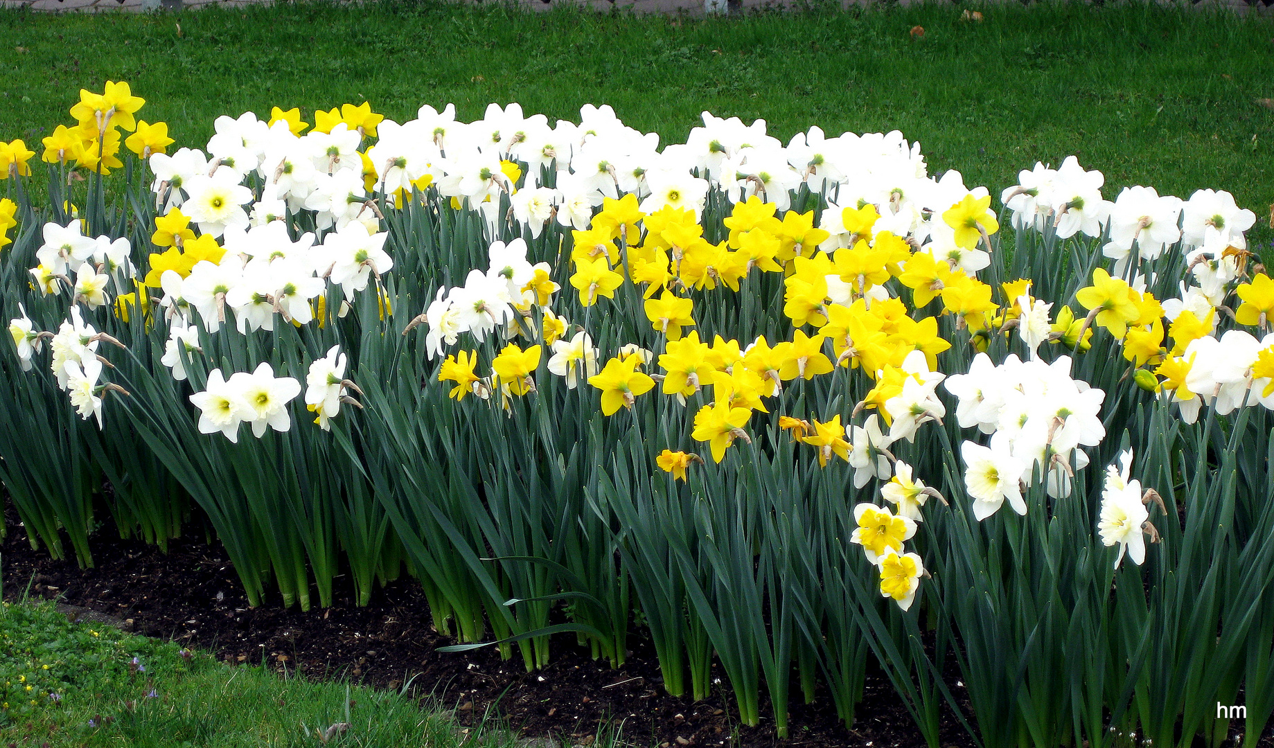 Es wird Ostern!