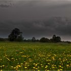 Es wird regen geben...