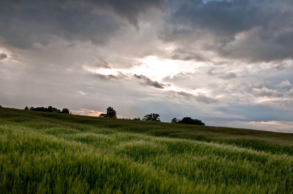 Es wird Regen geben