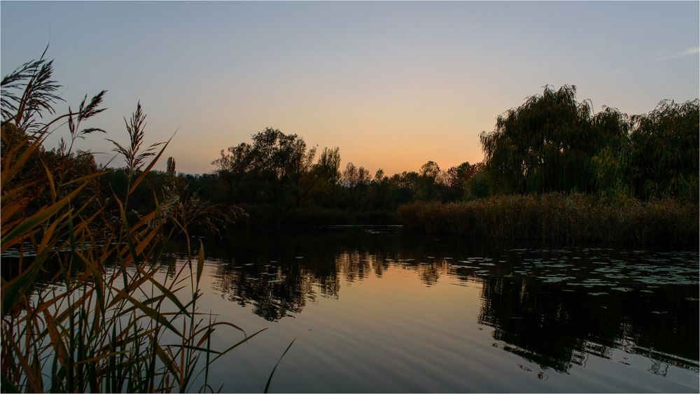 es wird ruhig am Teich