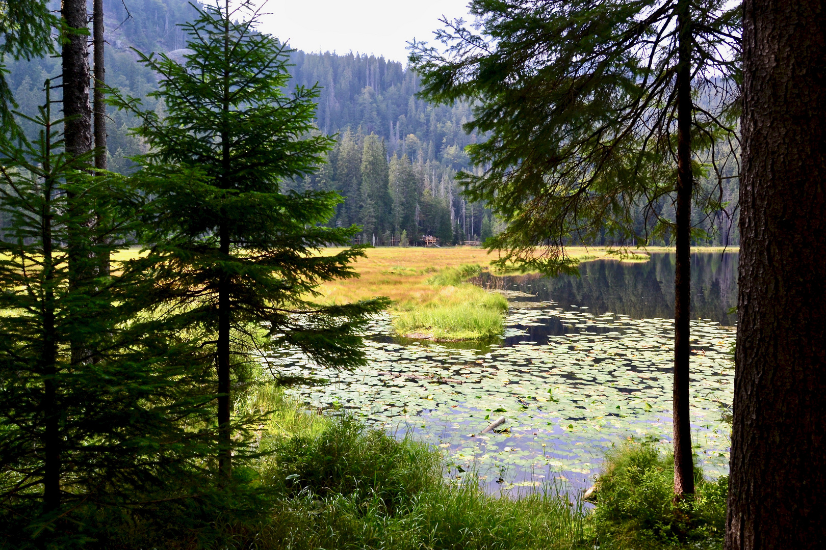 Es wird schon herbstlich auf dem Großen Arbersee