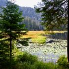 Es wird schon herbstlich auf dem Großen Arbersee