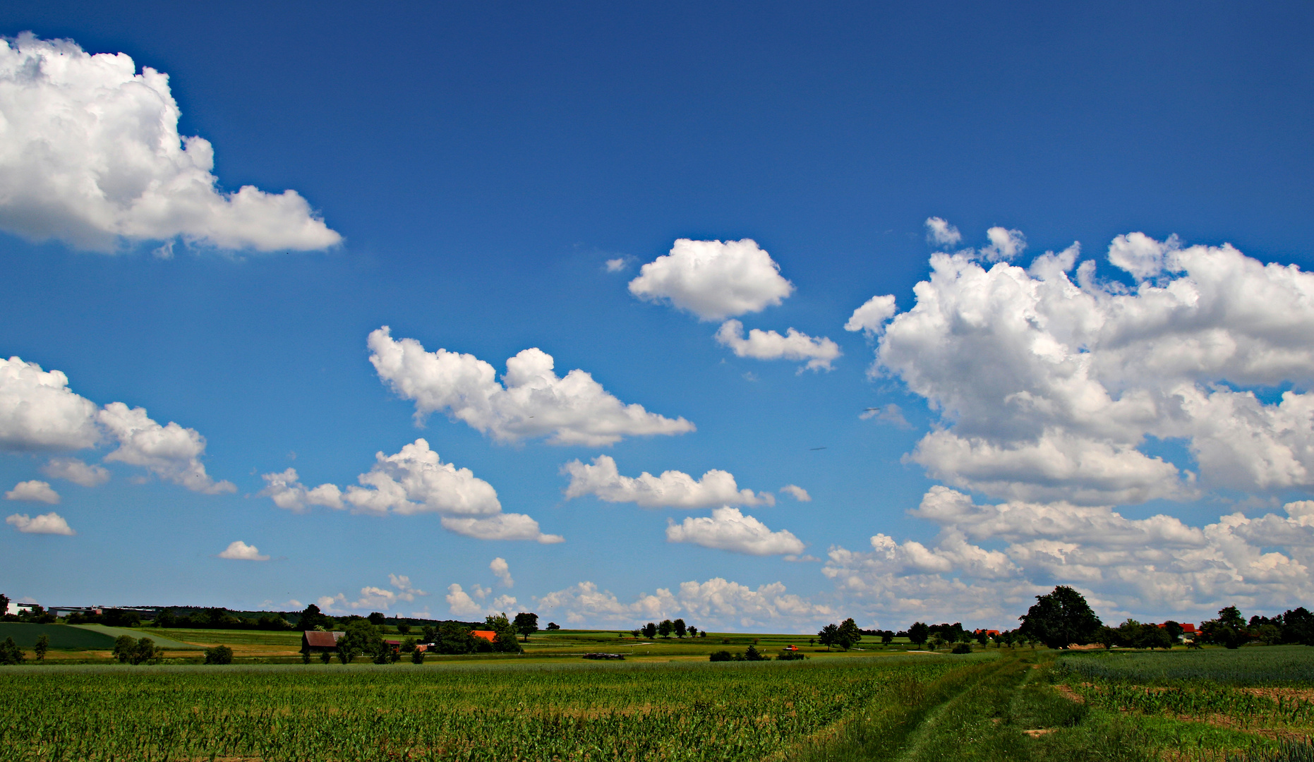 Es wird Sommer