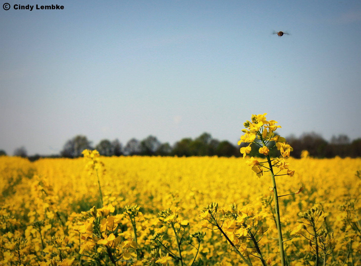 Es wird Sommer!