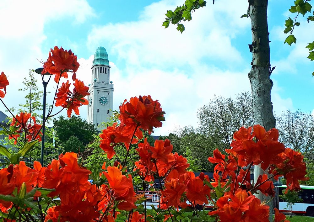 Es wird Sommer in Gelsenkirchen