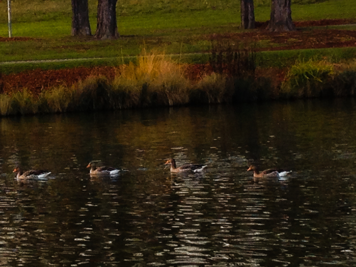 Es wird spät im Park......