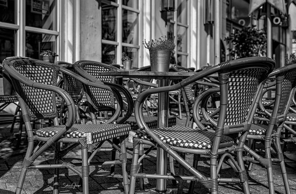 Es wird wärmer und schöner!