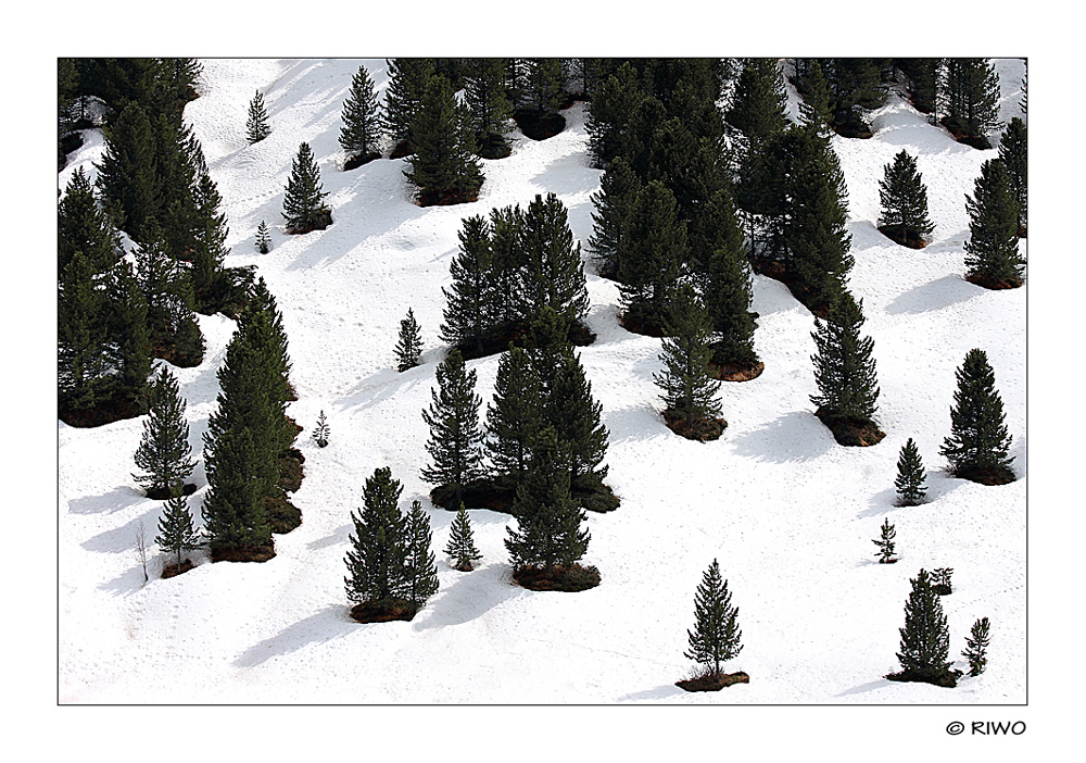 es wird weiss in den Bergen...........