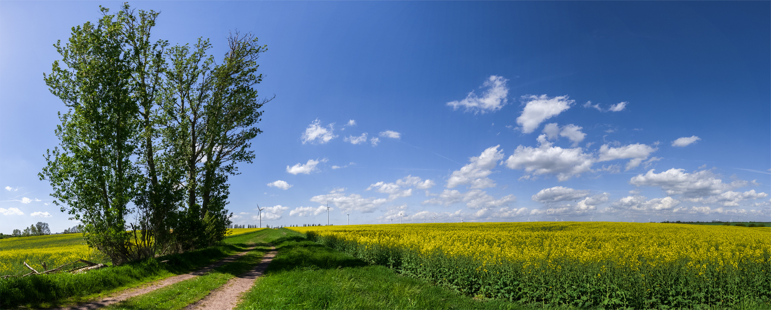 Es wird wieder bunt...