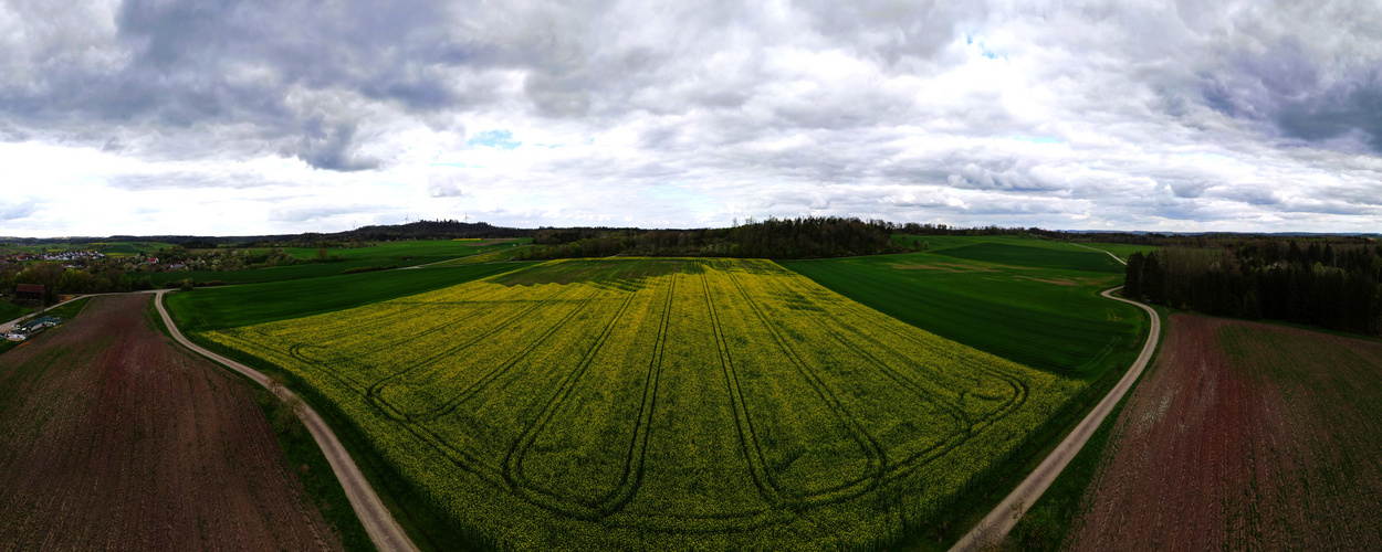 Es wird wieder Bunt 