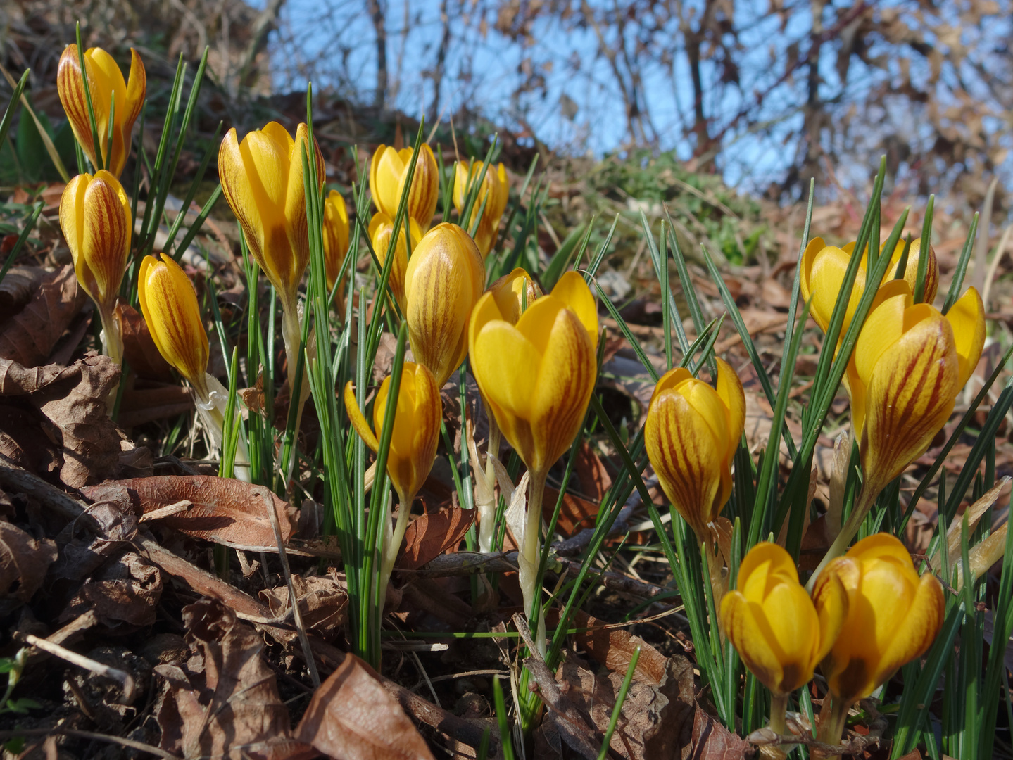 Es wird wieder bunt