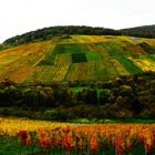 Es wird wieder bunt im Ländle