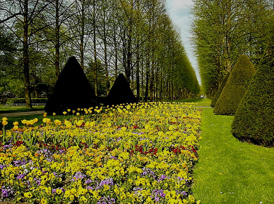 Es wird wieder bunt in der Natur