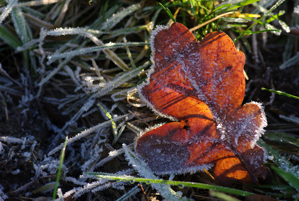 Es wird Winter...