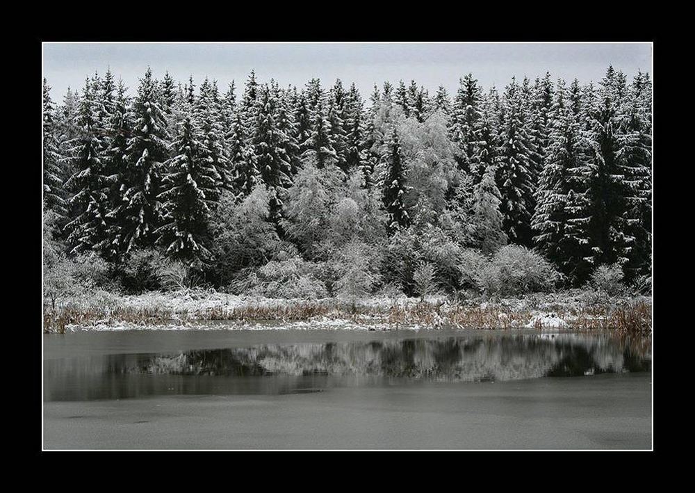 Es wird Winter an den Teichen (2) reload