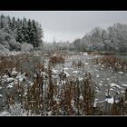 Es wird Winter an den Teichen (3)