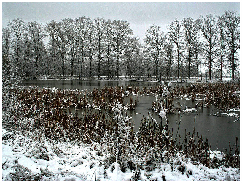 Es wird Winter an den Teichen...