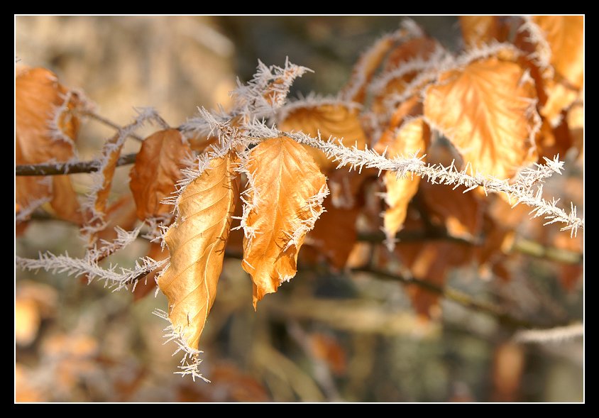 Es wird Winter