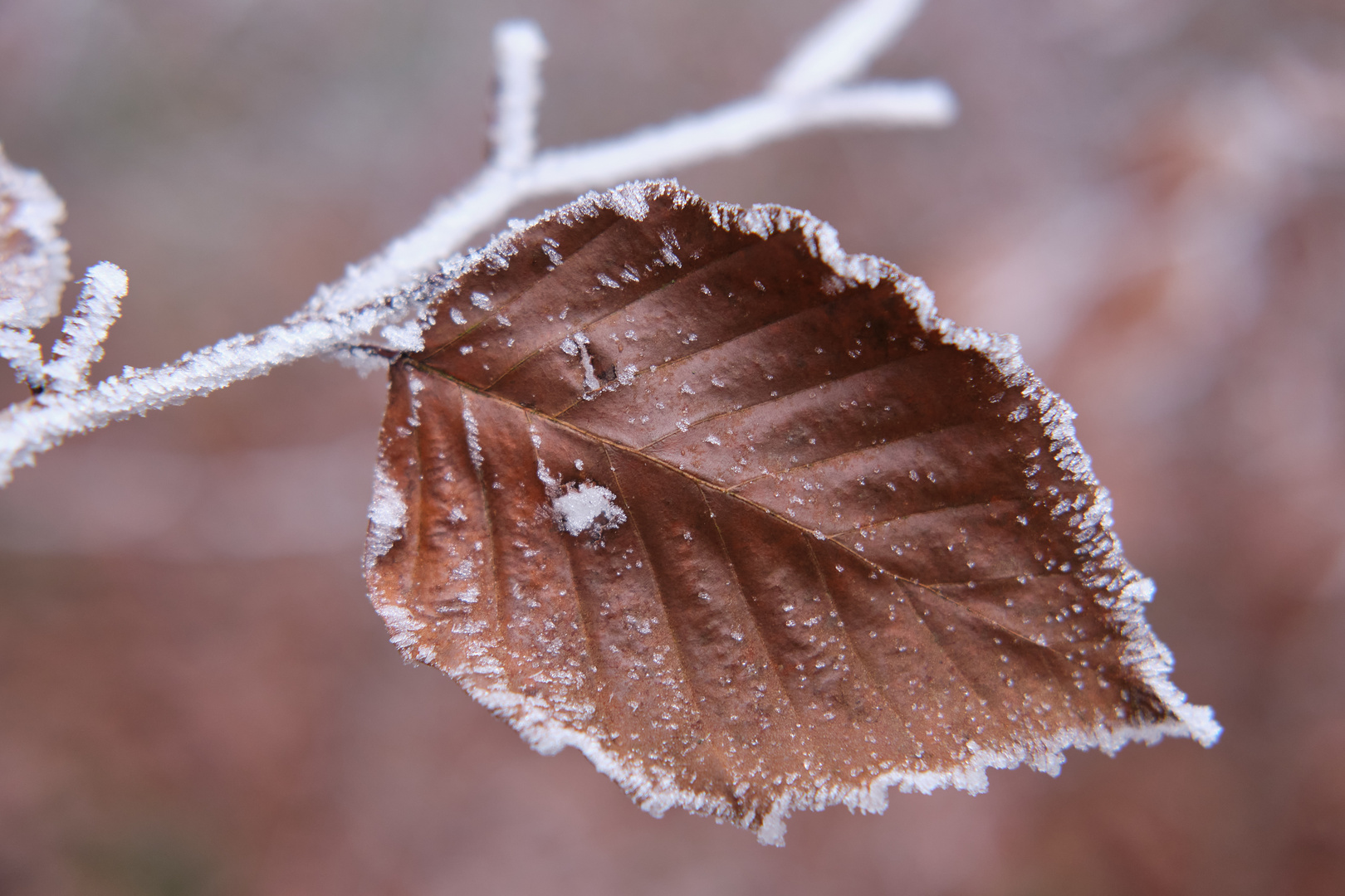 Es wird Winter