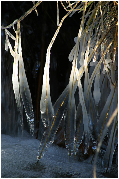 Es wird wirklich Winter....