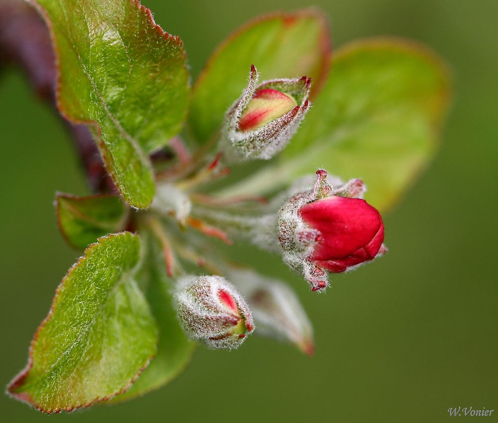 Es wird Zeit.............