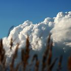 Es zieht ein Donnerwetter auf! 