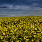 Es zieht Regen übers Land