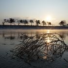 Es zieht vorbei der Fluss zum Meer