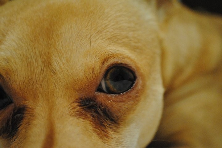 Esa mirada que me traspasa el alma...