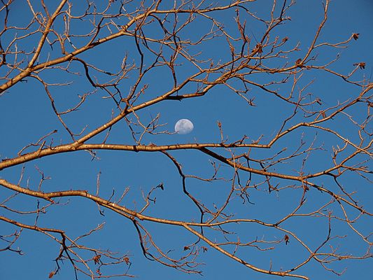 Esa tarde...yo no buscaba a nadie...y te vi.