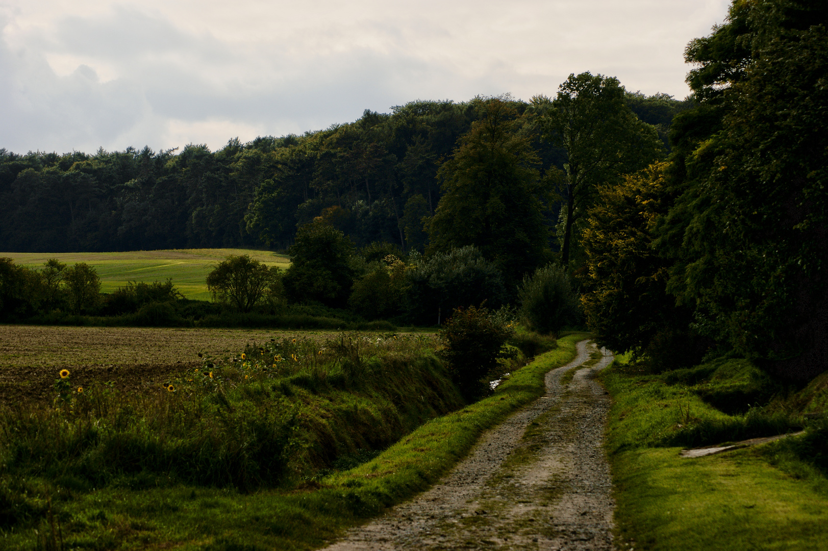 Esbeck im September