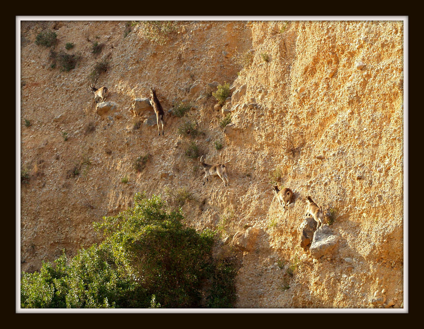 escalada