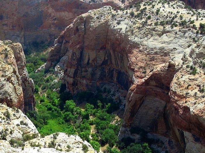 ESCALANTE CANYON