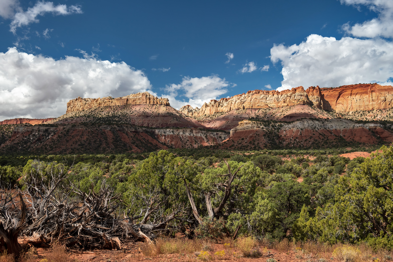 Escalante Canyons Unit