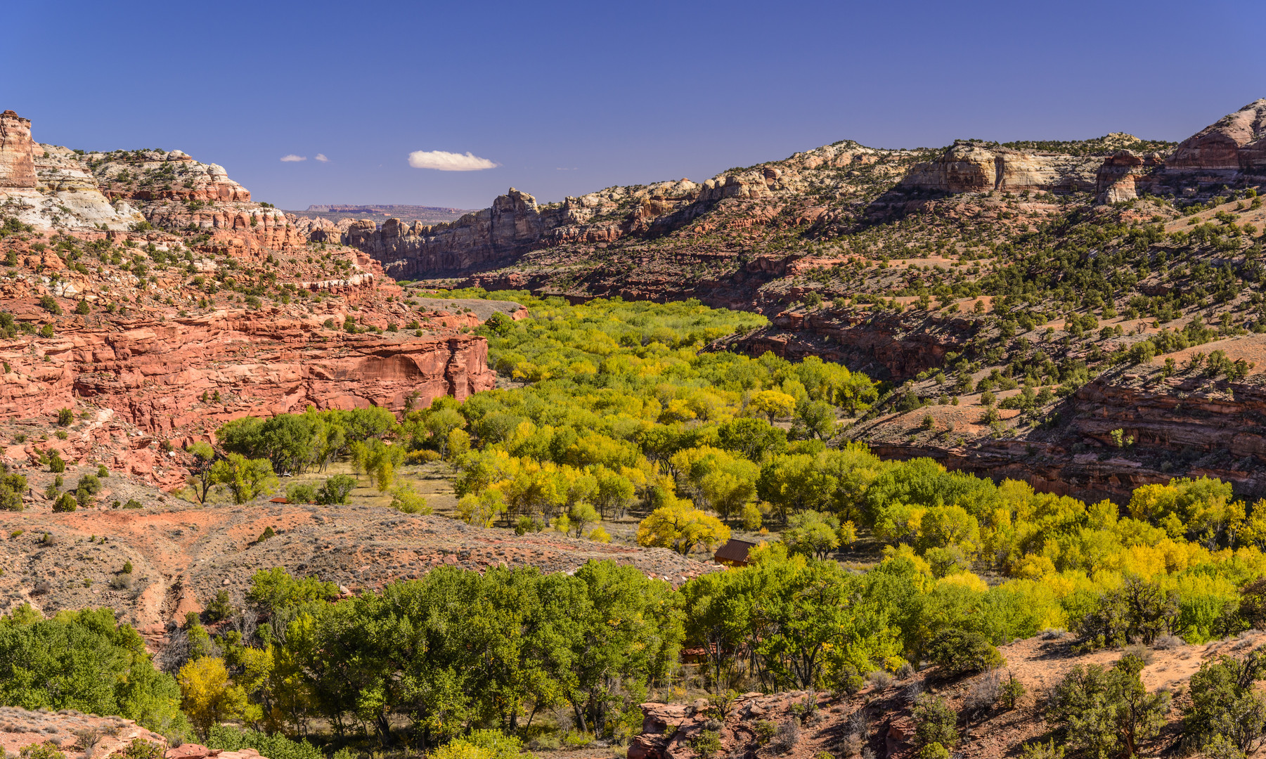 Escalante River Valley, Utah, USA