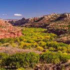 Escalante River Valley, Utah, USA