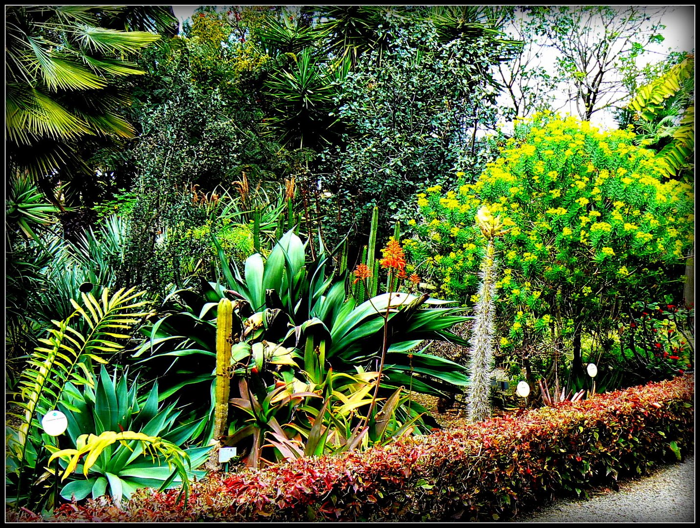 Escale -Île de TENERIFE