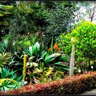 Escale -Île de TENERIFE