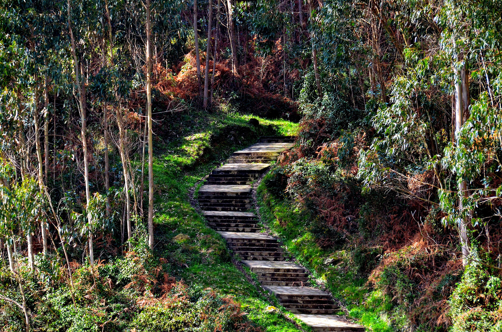 Escalera de algún paraíso.