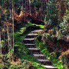 Escalera de algún paraíso.