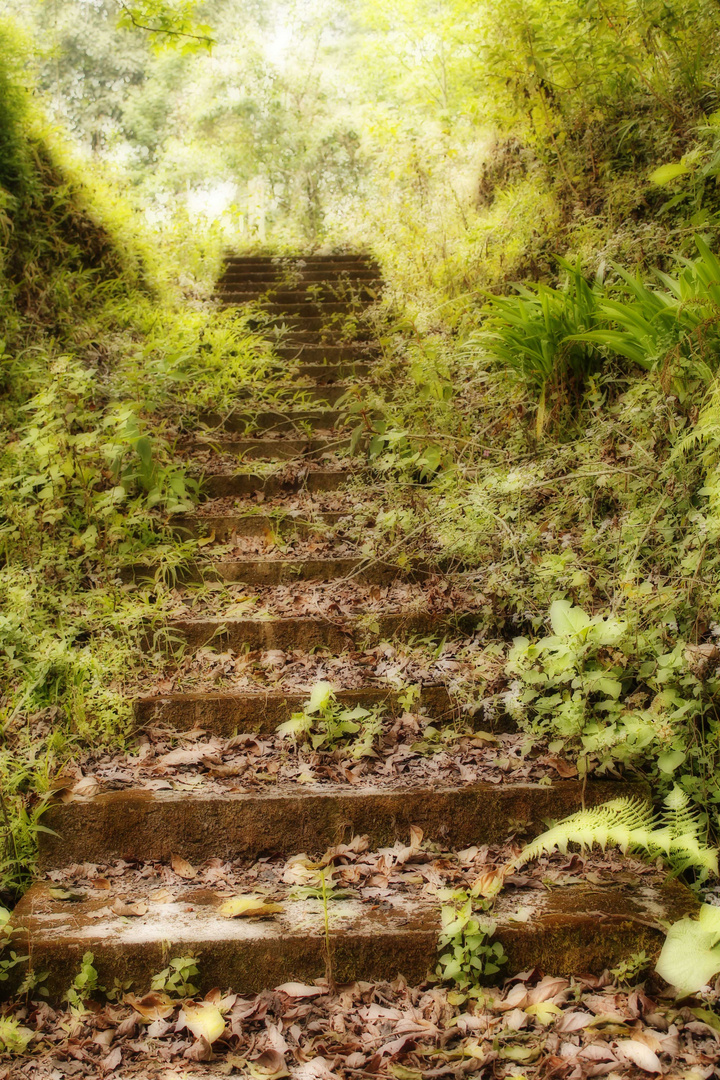 escaleras