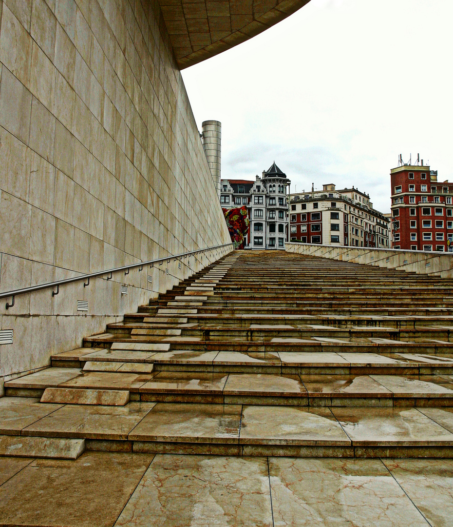 escaleras a Puppy