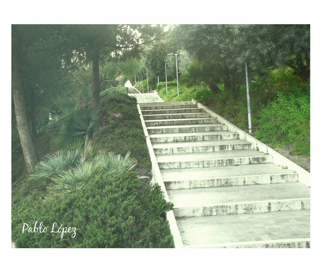 Escaleras al cielo