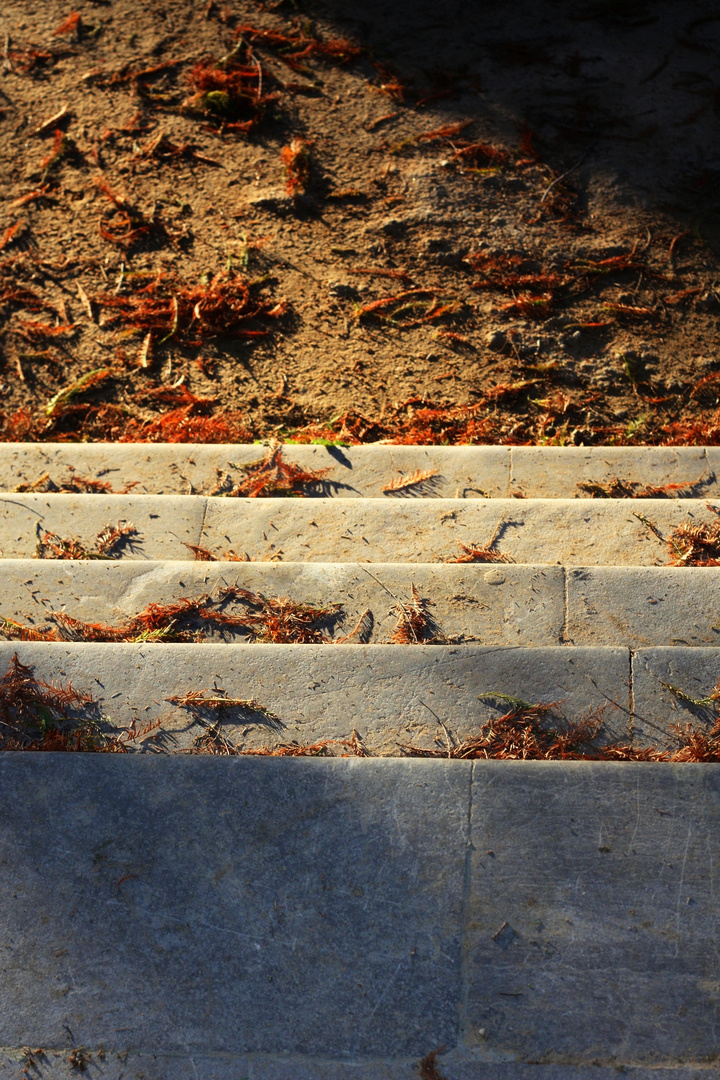 escaleras de bajada