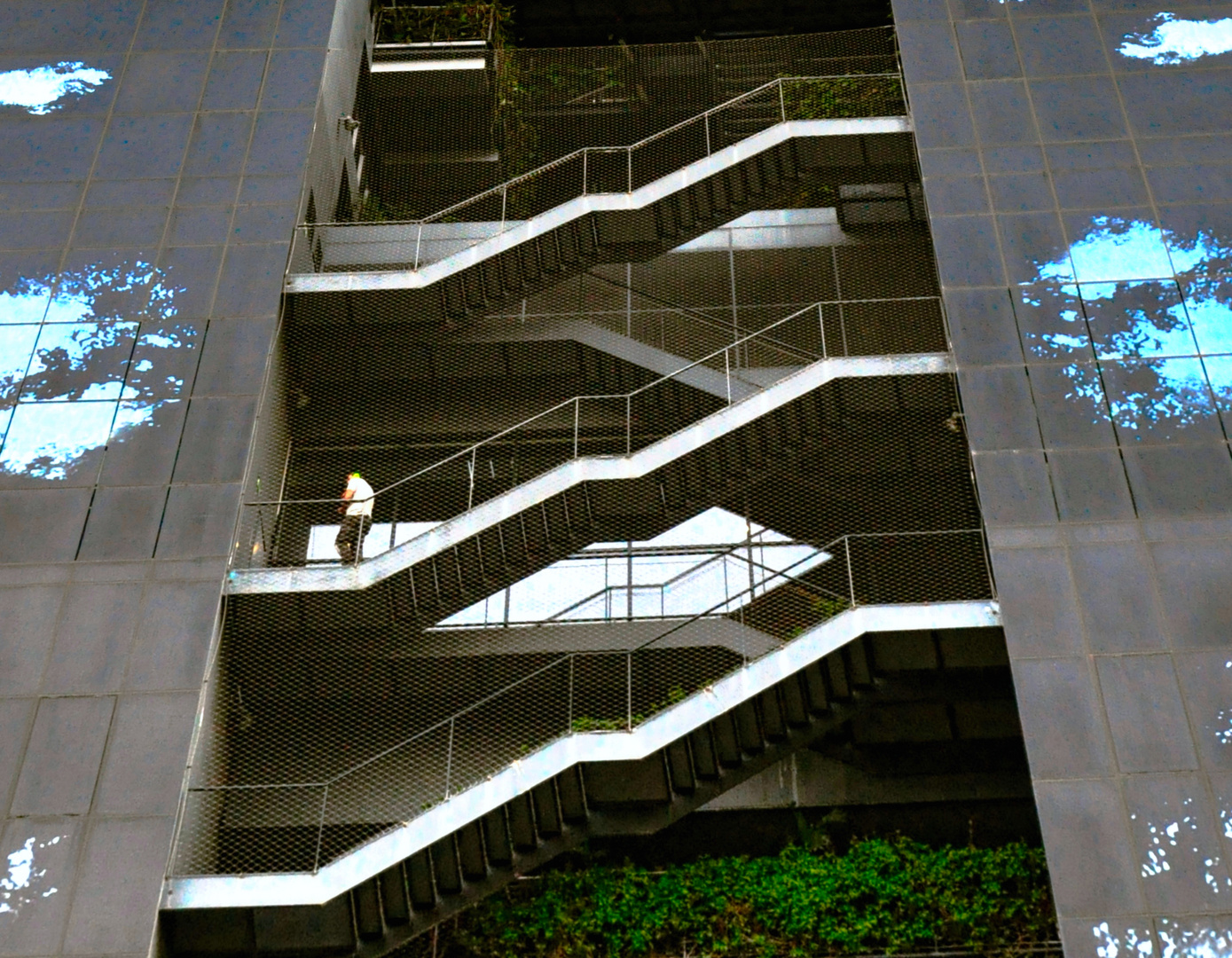 Escales al cel   -   Escaleras al cielo